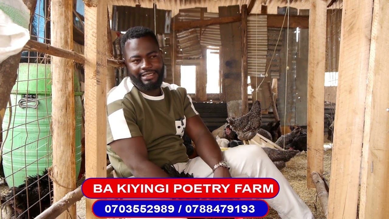 Bakiyingi poultry farm 0703552989#0788479193 🚜 😍 👌 ♥️ 