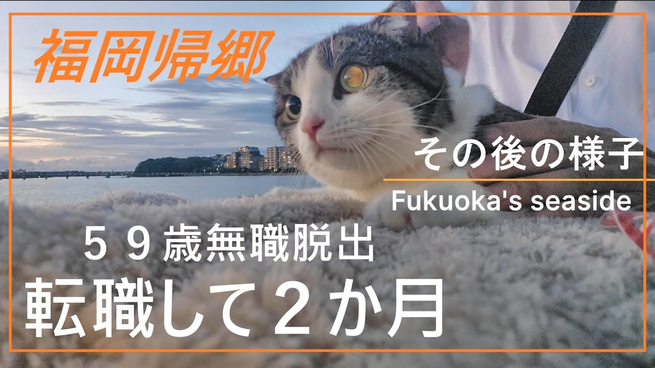 【福岡帰郷】５９歳無職脱出　転職して２か月目の様子～愛猫Julieとの日常ルーティン　福岡アイランドシティ、香椎海岸遊歩道
