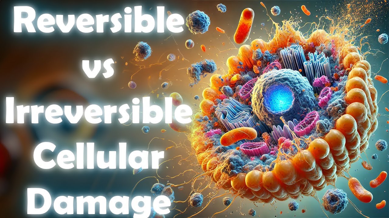 🧫 Reversible vs. Irreversible Injury: Pathology/Pathophysiology USMLE High Yield Made Easy