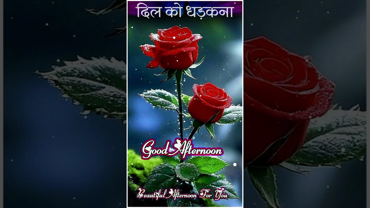 Good afternoon status||whatsapp status