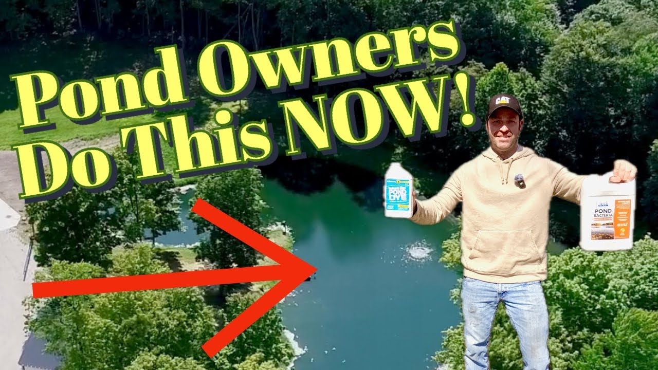 3 Steps to a BETTER looking Pond- Fixing Algae issues BEFORE they start!