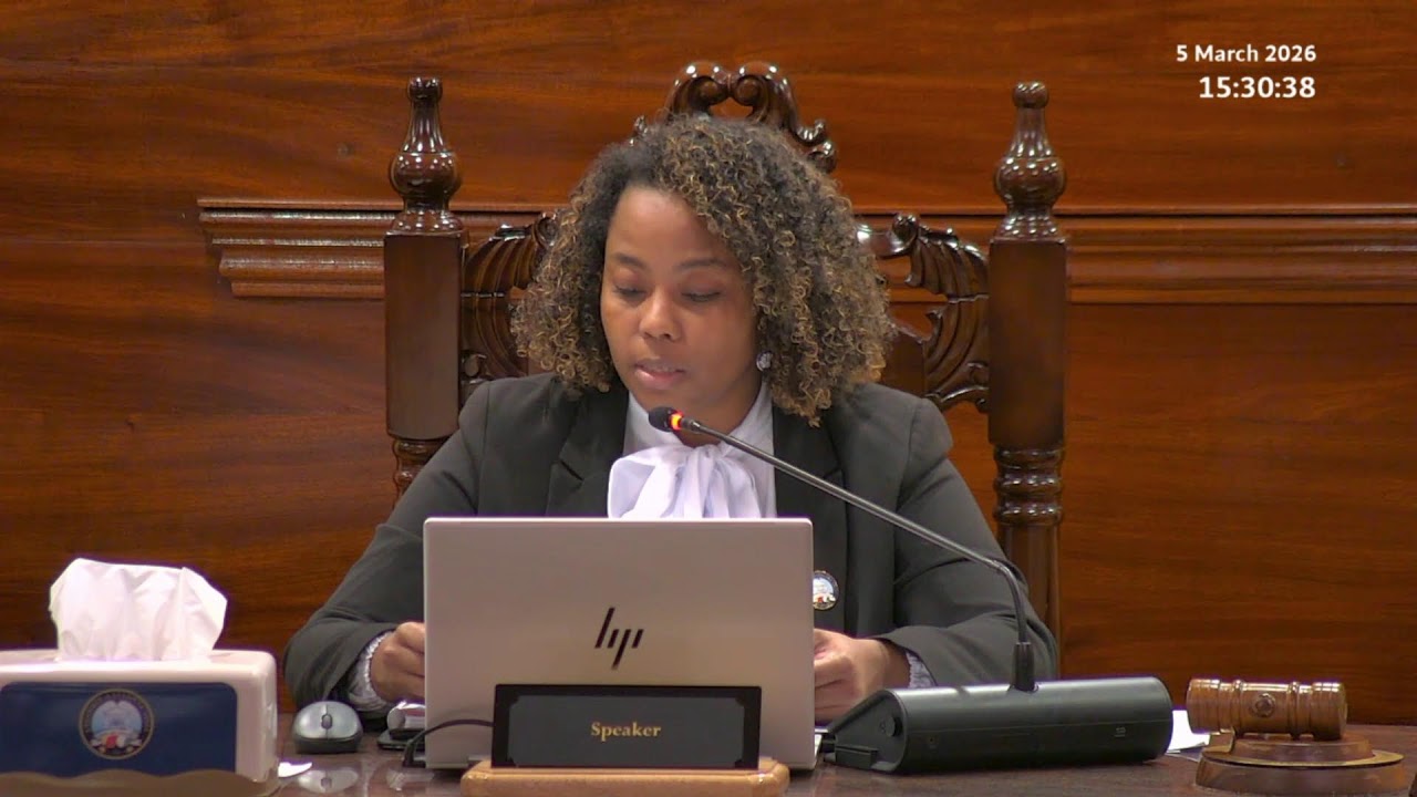 Budget 2026 Committee Stage - Sitting Thursday 5 March 2026 Part 3