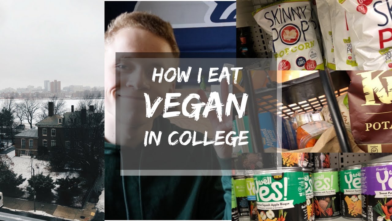 how i eat vegan in college // jake brewer