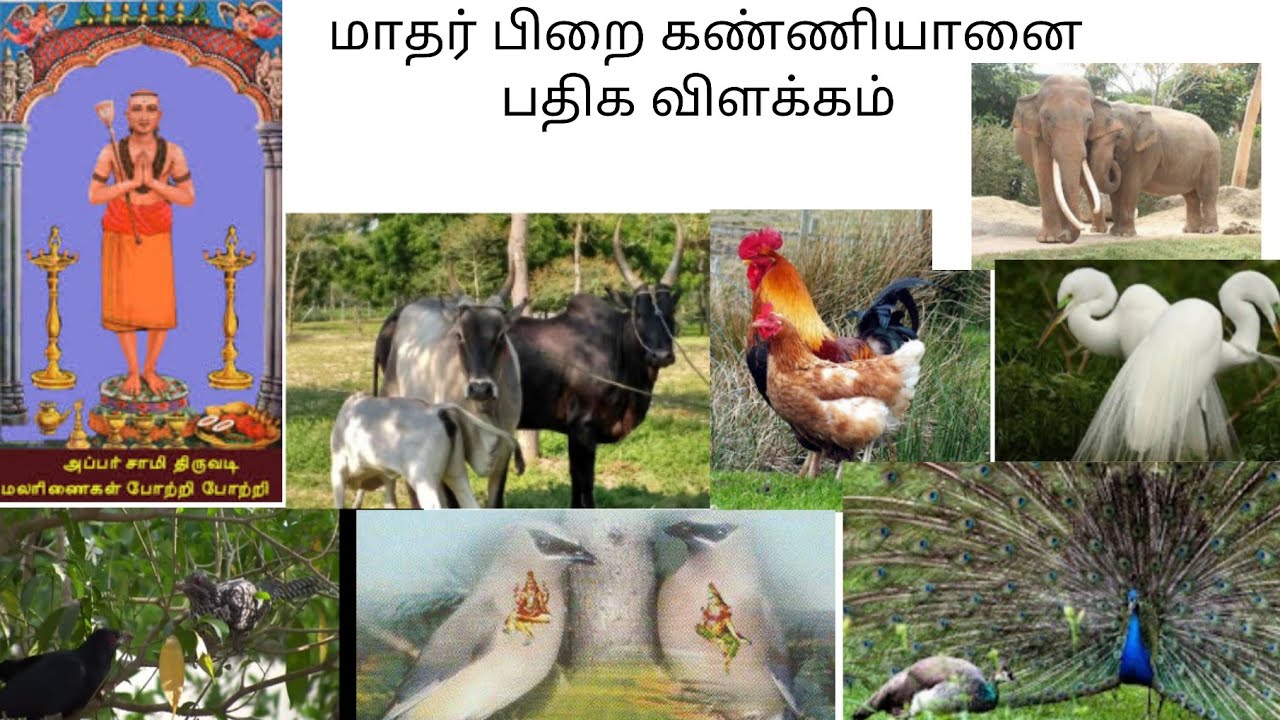 மாதர் பிறை கண்ணியானை பதிக விளக்கம் - திருநாவுக்கரசர் திருவையாறு பதிக விளக்கம்