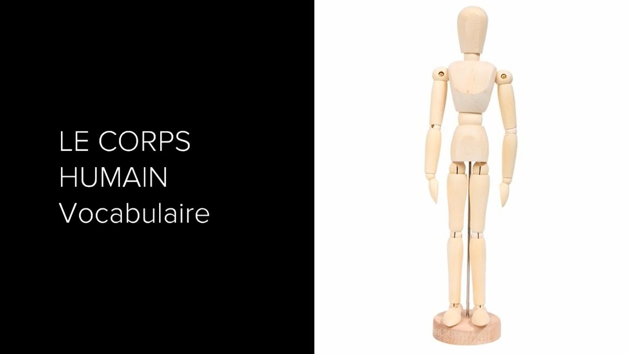 A1-Corps humain - Vocabulaire