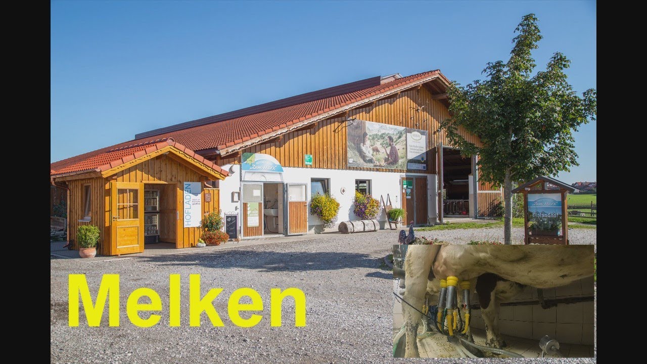 Vlog#003, Hofmolkerei Zum Marx, Laufstall, Melkstand, Melken