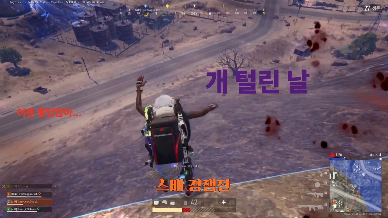 -아재의 배그 일기- 개  털린 날