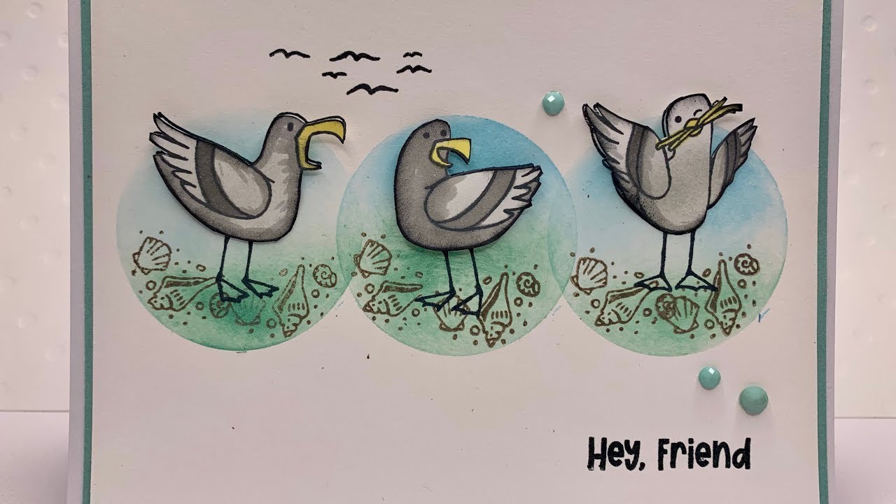 Sale-A-Bration. Friendly Seagulls