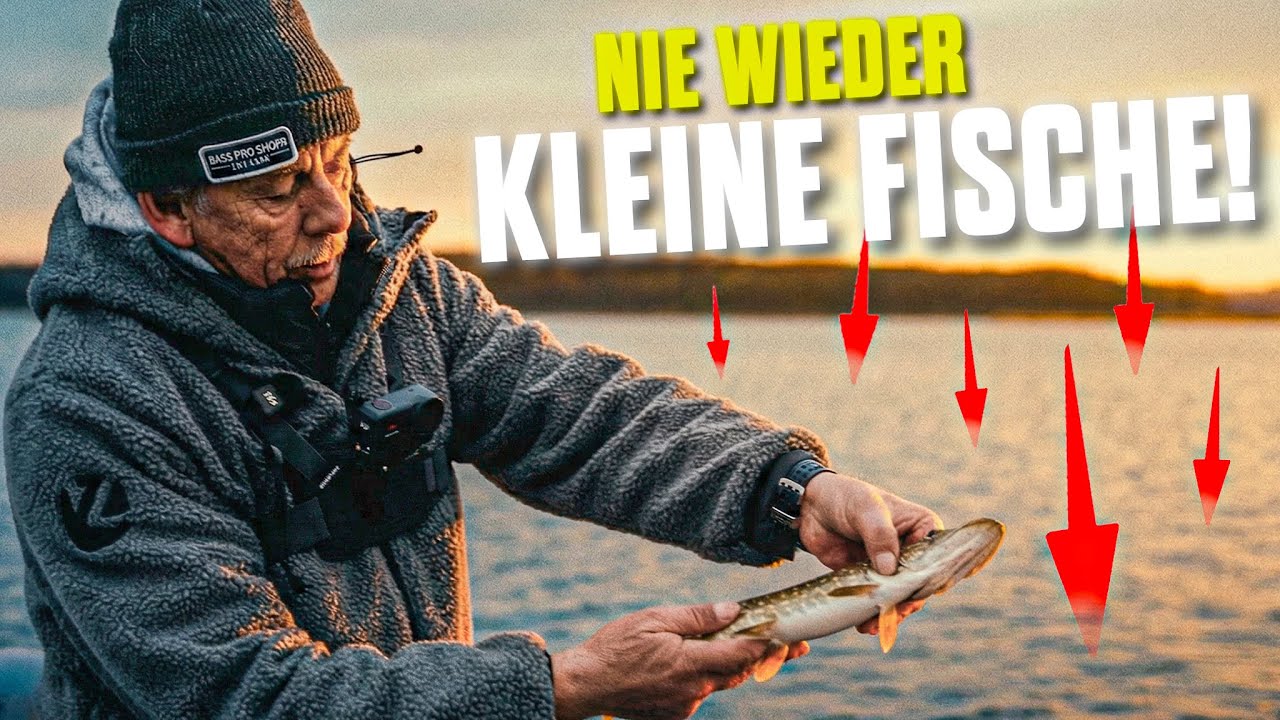 Keine Lust mehr auf KLEINE FISCHE!