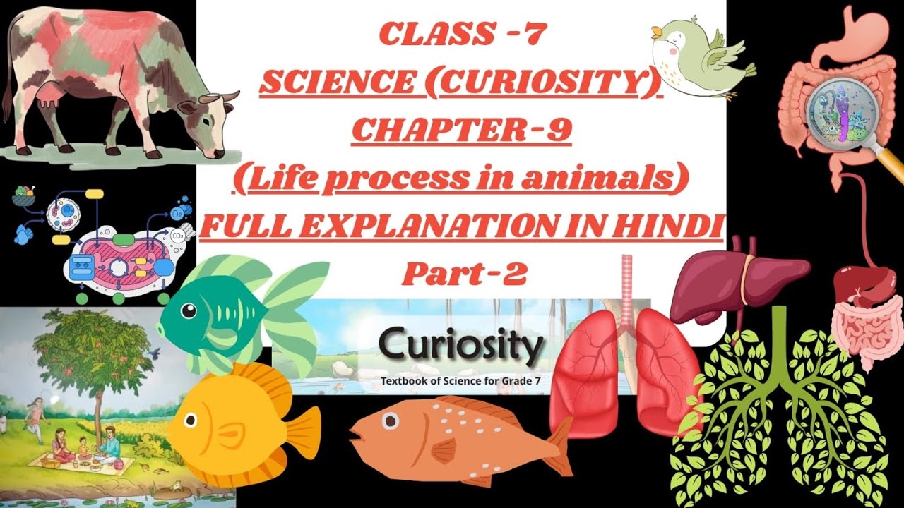Life Processes in Animals|CBSE Class 7 Science (Biology) |Full Chapter Explained|CBSE 2026|part-2|