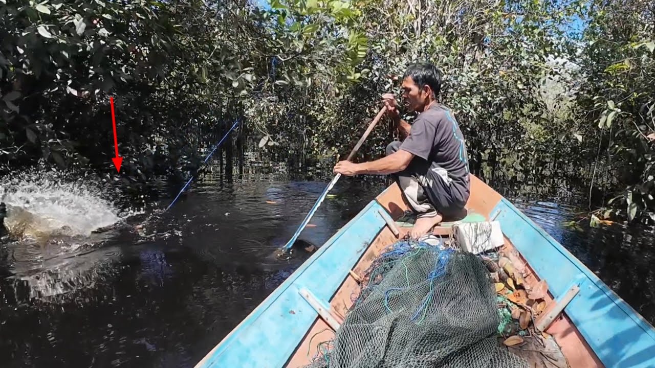 SPOT HUTAN RAWA MANCING DAN NAJUR IKAN TOMAN