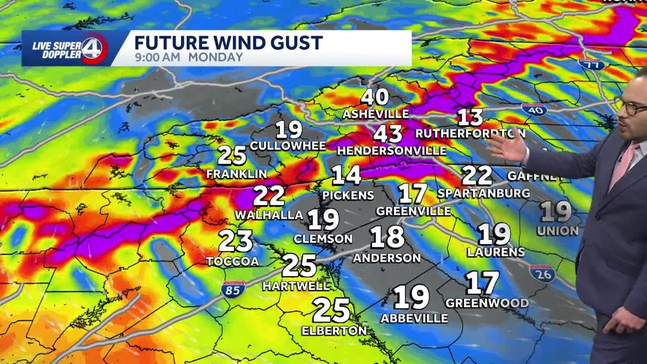 What can SC, NC, and Georgia expect after the ice storm