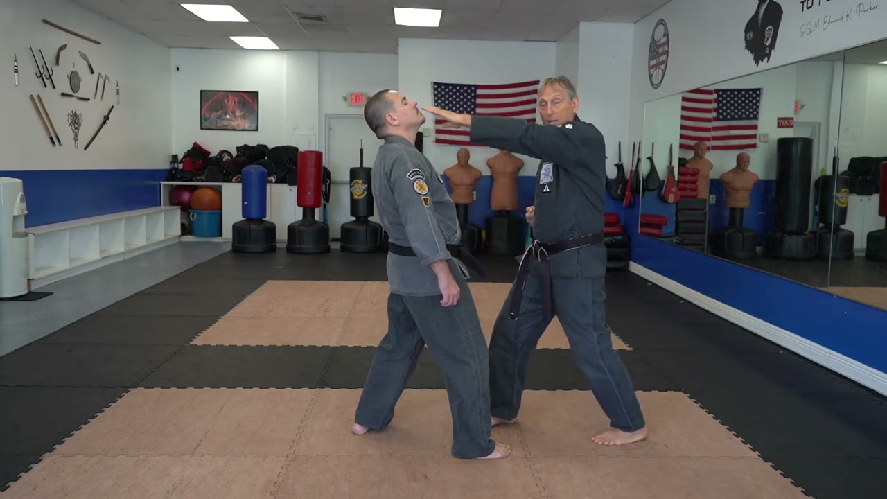 Executing the American Kenpo technique Five Swords
