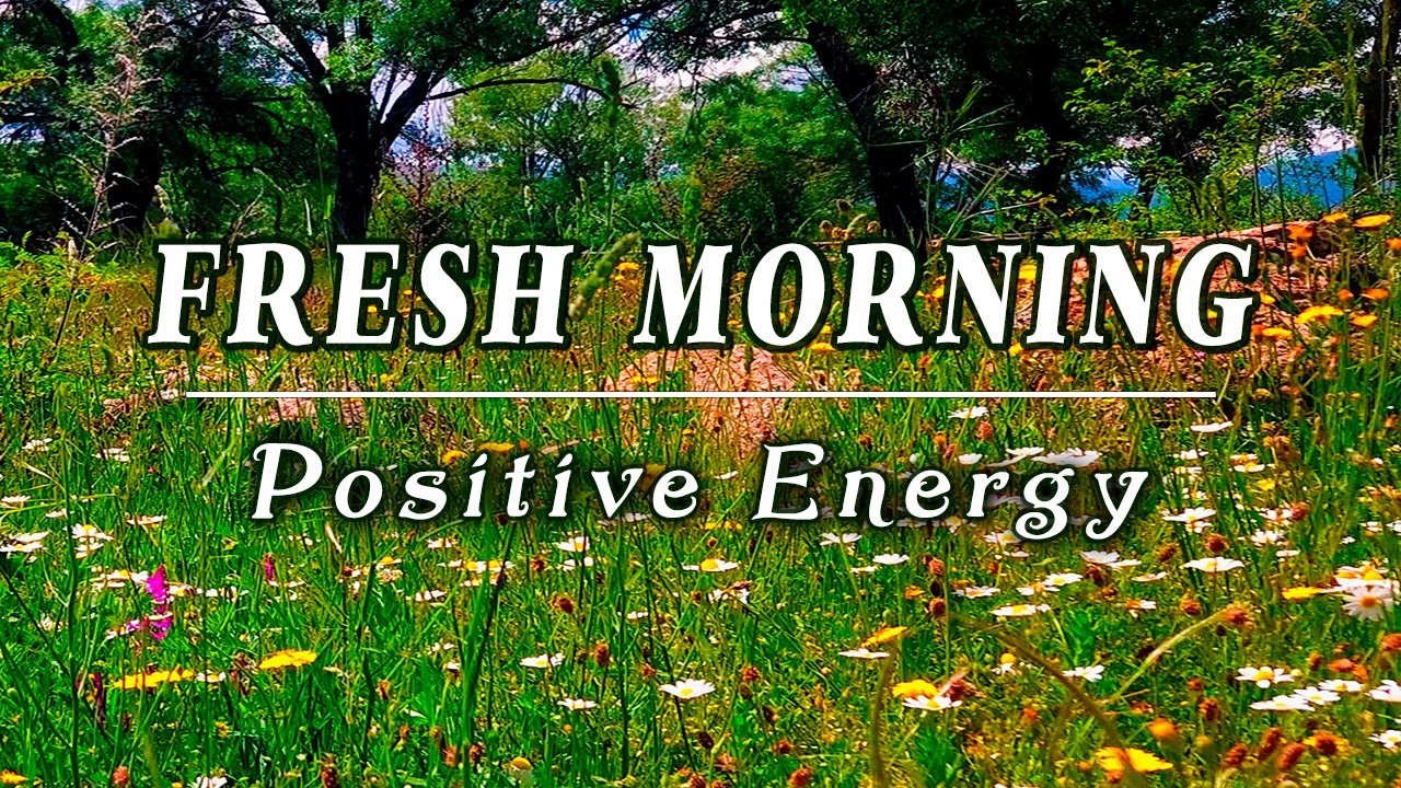 Fresh Morning🌳Begin your Day with the Healing Frequency of Spring🌳Relaxing Nature Ambient Meditation