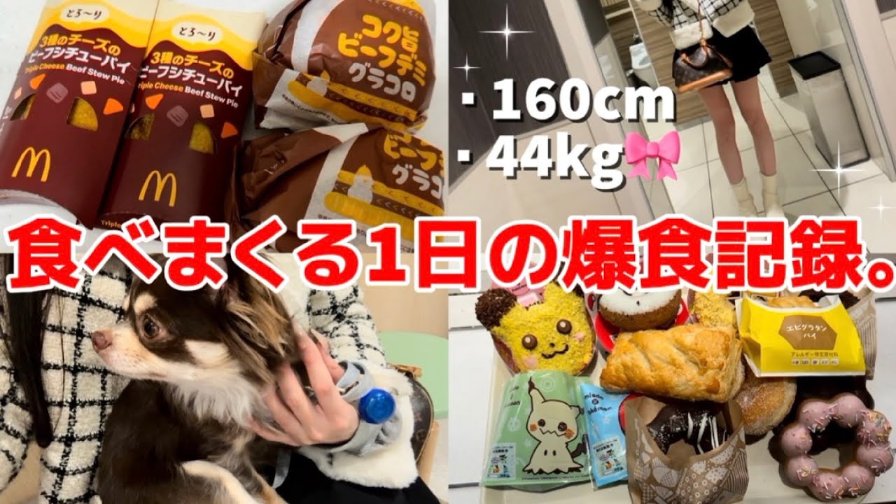 【爆食記録】この世の美味しい物は食べない方がもったいない🐶🍩💖【vlog】