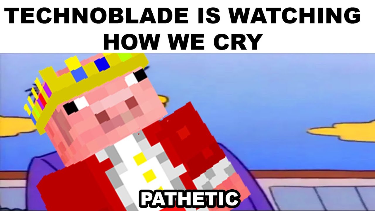technoblade memes that make me happy
