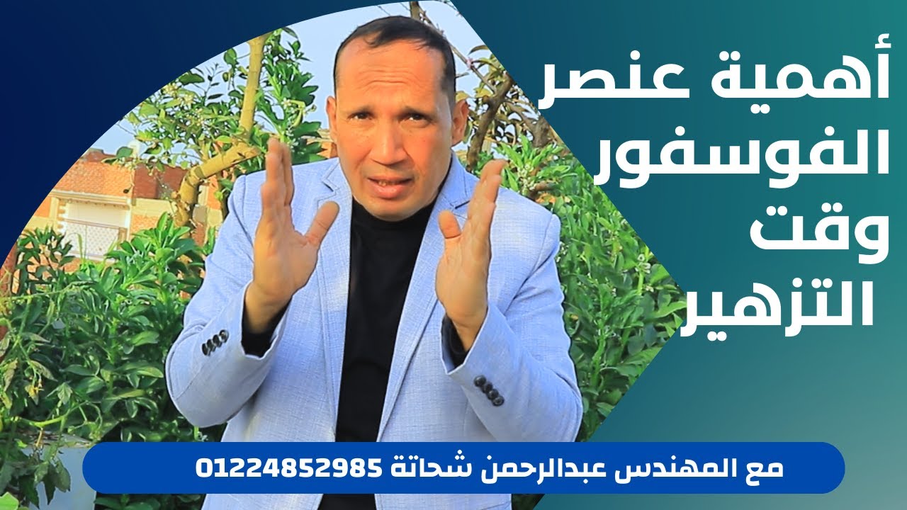 شرح مفصل لاهمية عنصر الفوسفور في جميع مراحل النبات وخصوصا فترة التزهير 01224852985