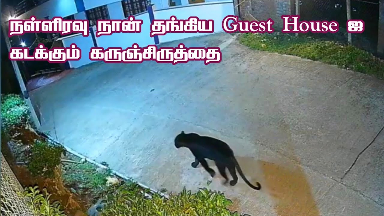 Shocking Black Panther Encounter in Kotagiri Guest House | Jolly Trip
