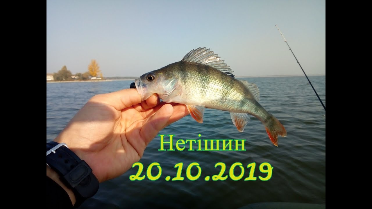 Нетішин. Ловля окуня на водосховищі. Рибохорона патрулює водойму!!!