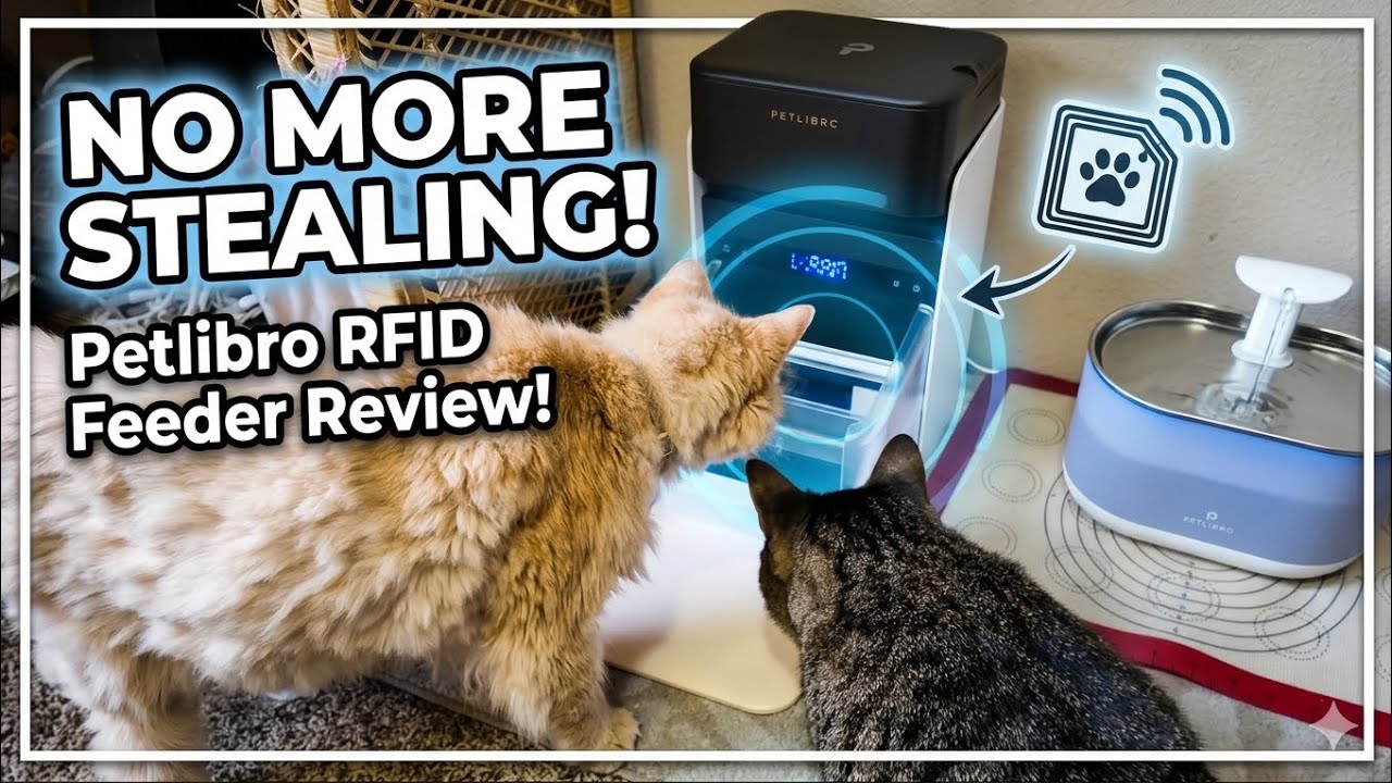 PETLIBRO Upgraded RFID Automatic Cat Feeder