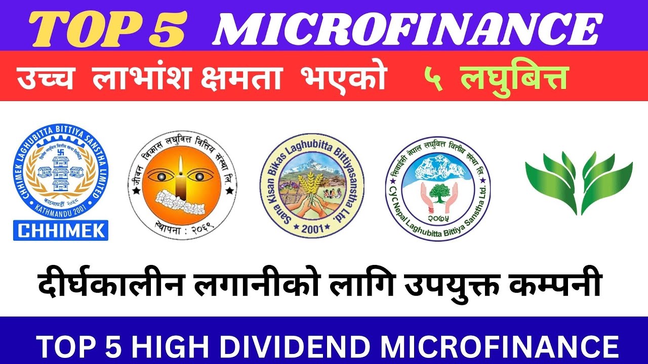 उच्च लाभांश क्षमता भएको लघुबित्त/ top 5 micro finance/ top dividend capacity micro/ shree tech