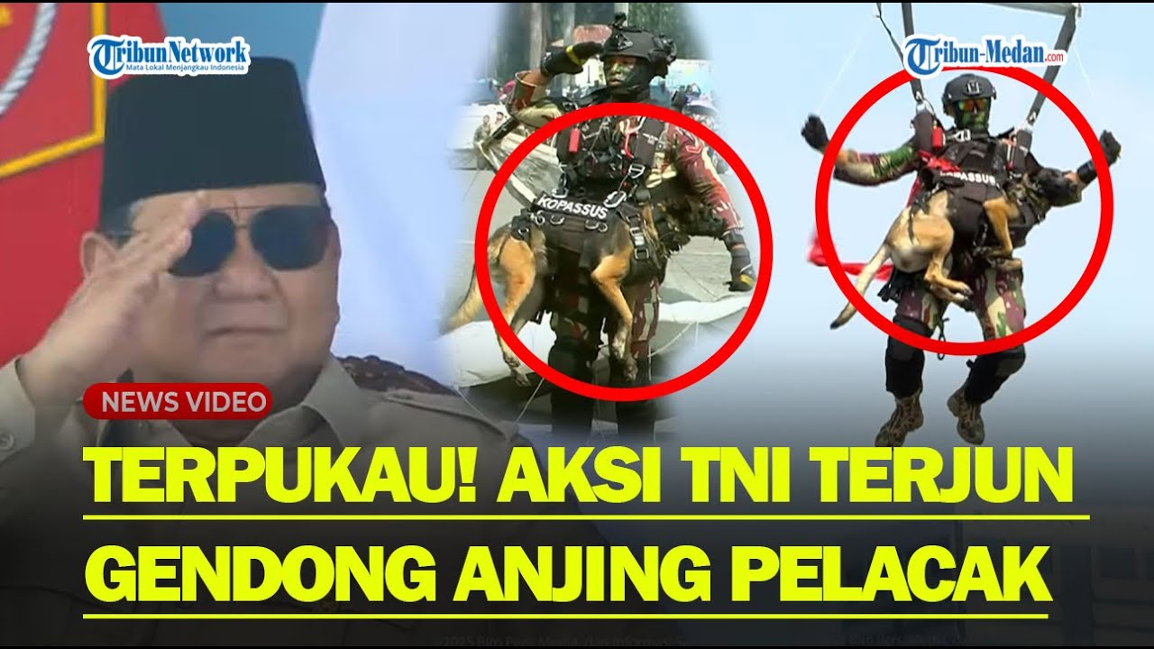 PRABOWO BERI HORMAT ke Penerjun Satwa TNI, Unjuk Kemampuan Terbang Dengan Anjing Pelacak