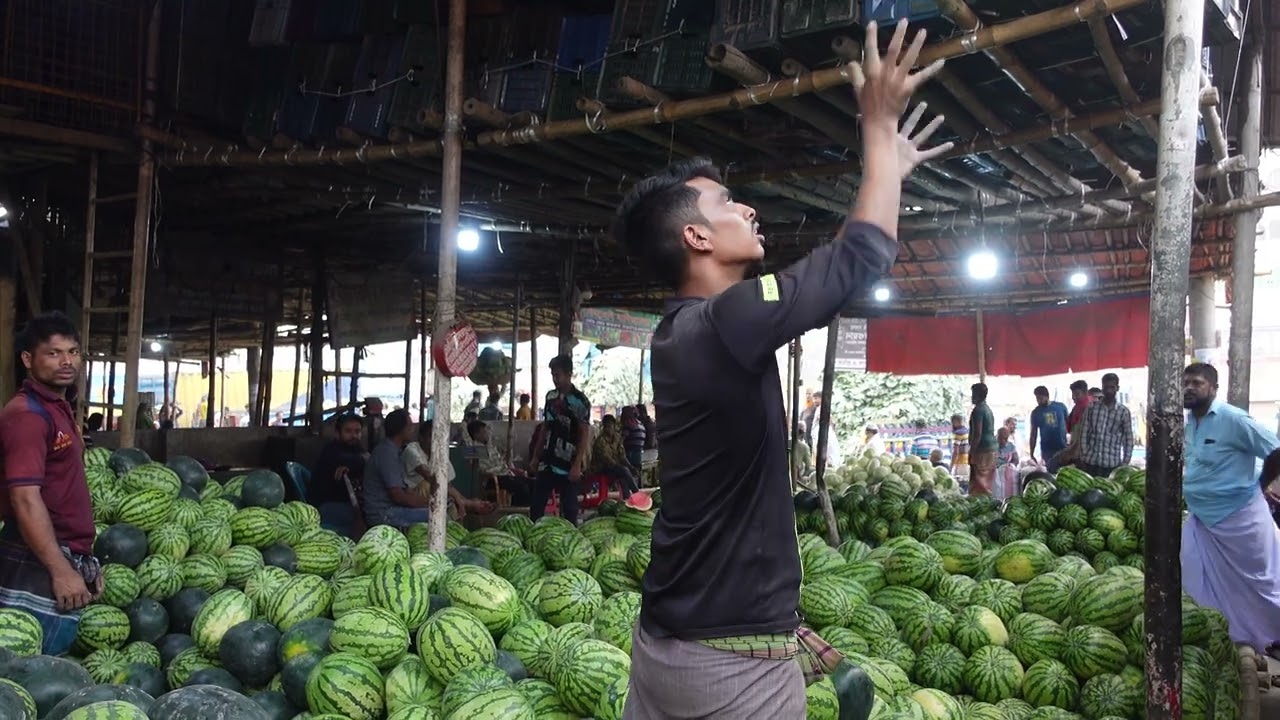 Inside the Watermelon Wholesale Market: A Behind-the-Scenes Look