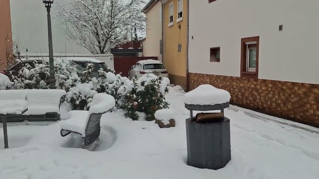 Veitshöchheim im Schnee (Teil 1)#Schnee #snow #unterfranken #keinöpnv #Ruhe #Anblick #sightseeing 