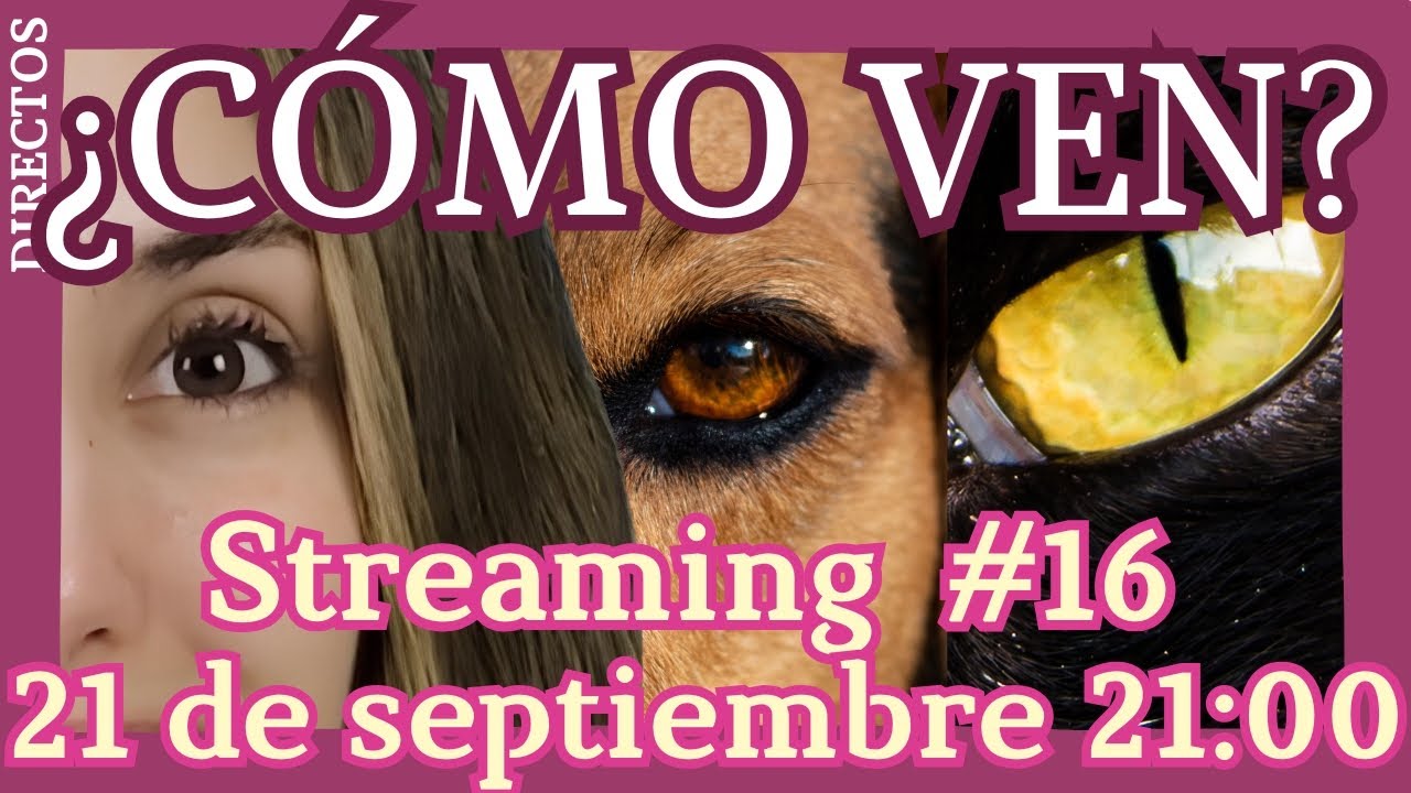 Tu Veterinaria -Directo 16º-  | | ¿Cómo ven nuestros animales?