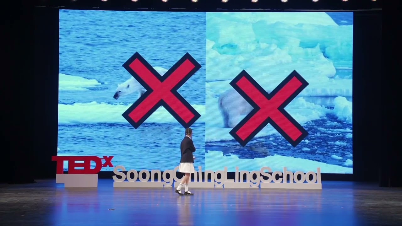 Why Melting Ice is the Problem of Our Generation | Sophie Li | TEDxSoongChingLingSchool