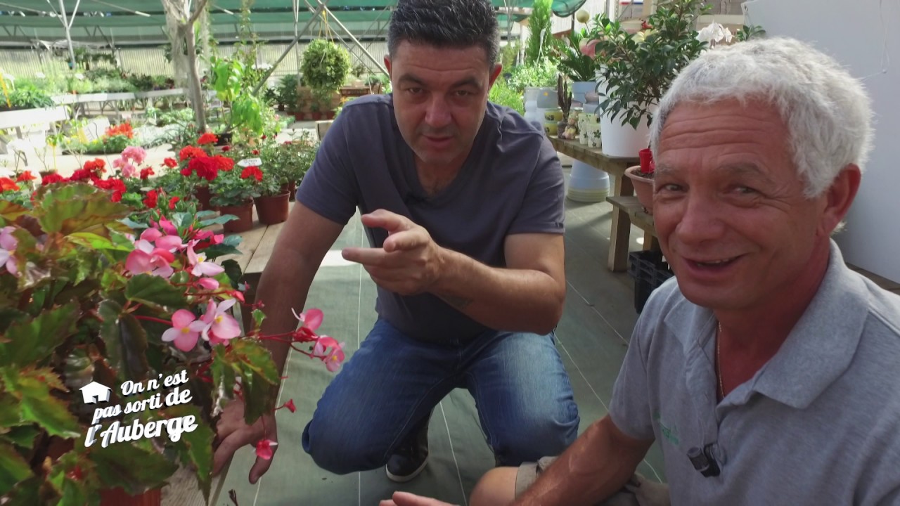 OEPSA S2 Ep 7 - Fleur comestible : Multiplante Avril