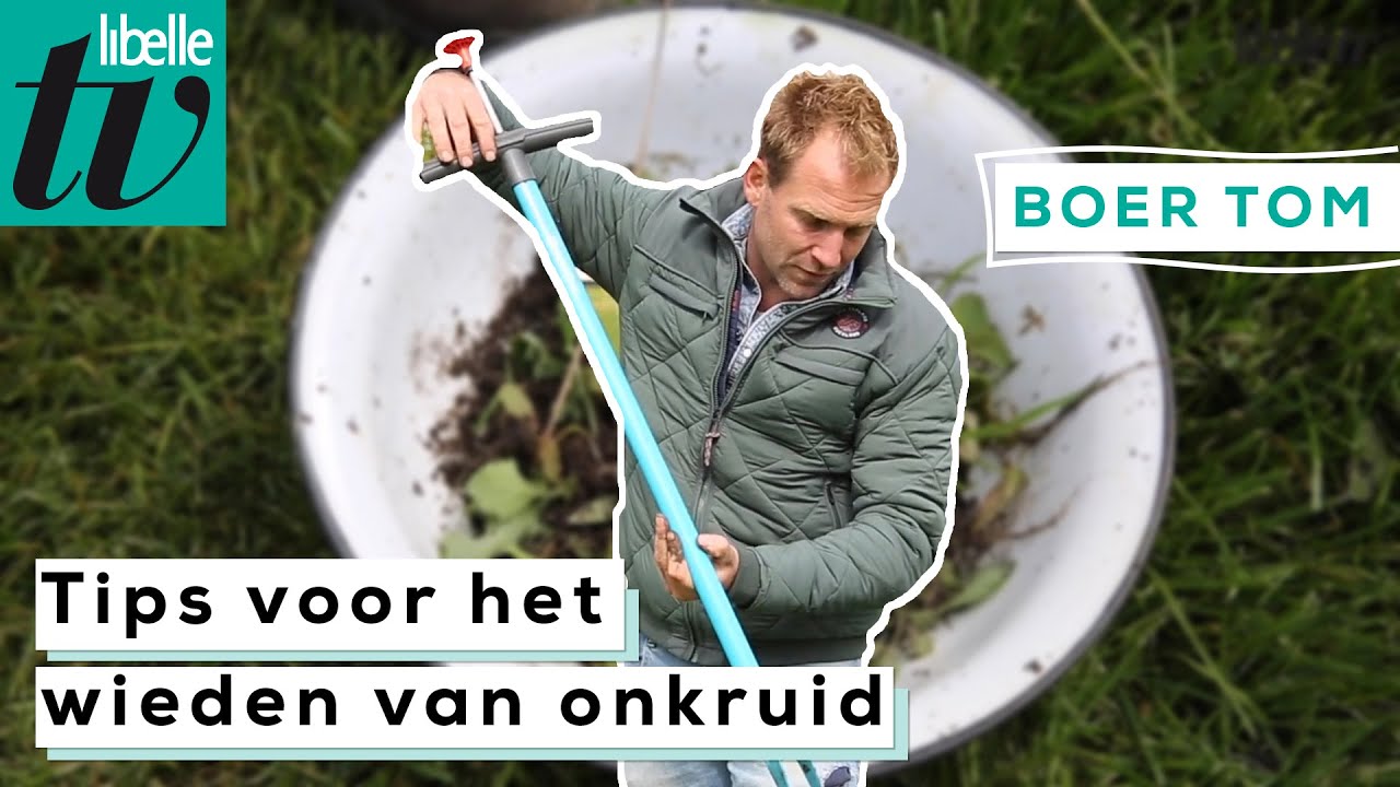 3 tips voor het verwijderen van onkruid - Boer Tom