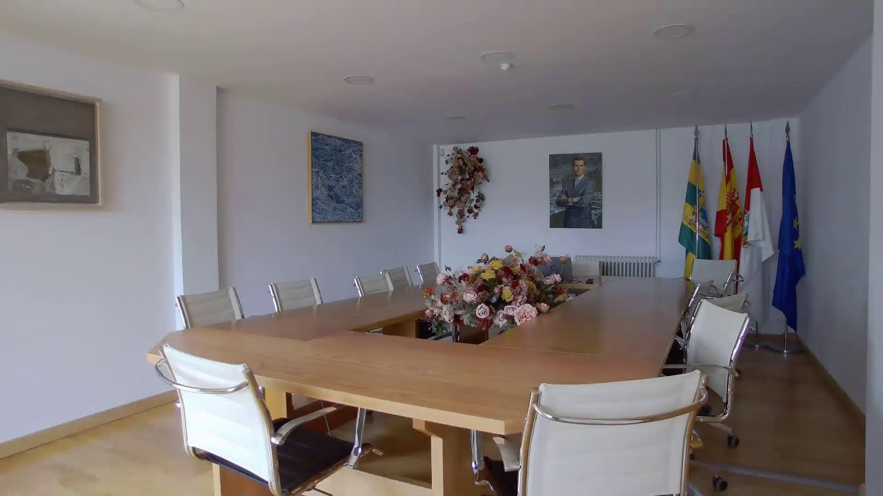 Pleno 09/05/2025