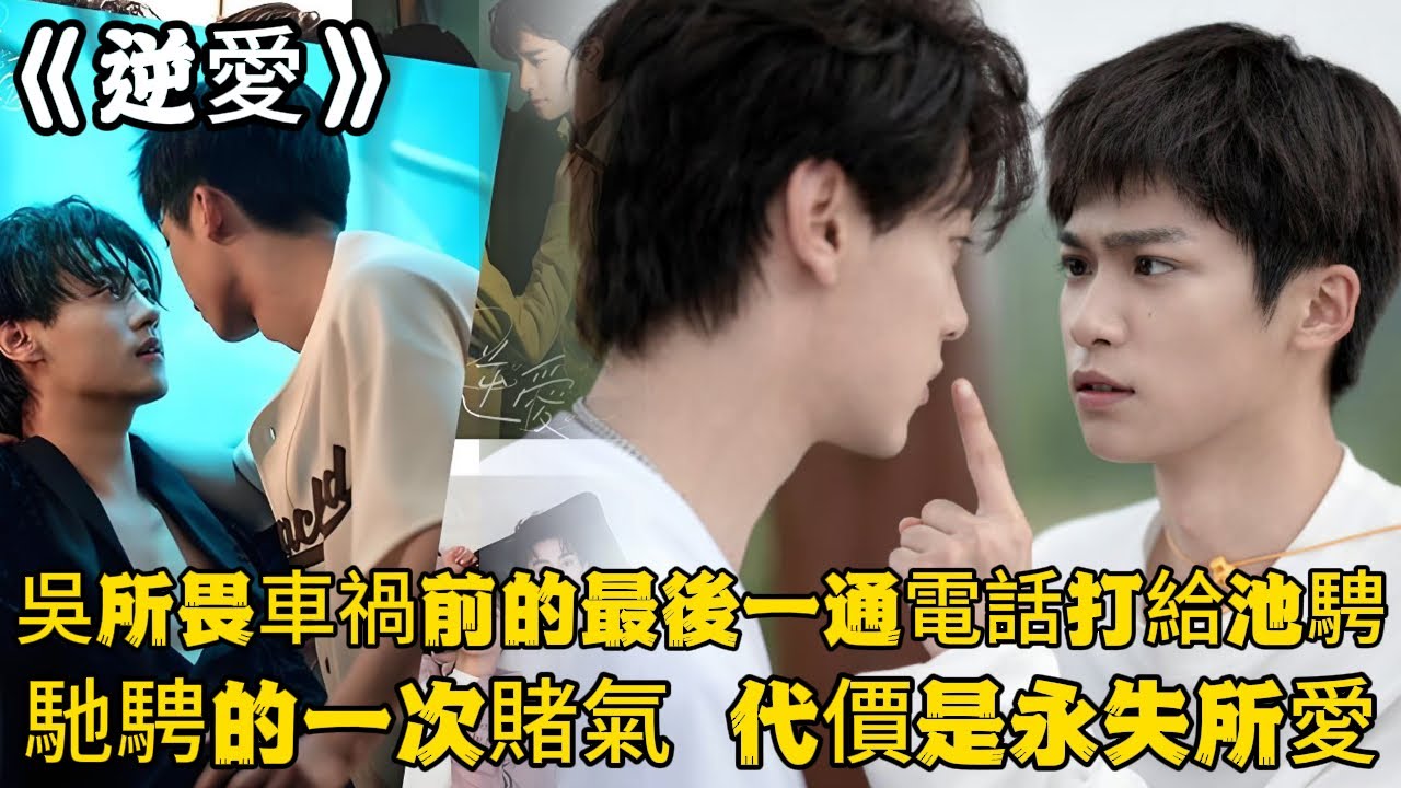 《逆愛》：吳所畏車禍前的最後一通電話打給池騁，但是池騁賭氣沒接…馳騁的一次賭氣，代價是永失所愛。#田栩宁 #梓渝 #吴所畏 #池骋 #逆爱 #Revenged