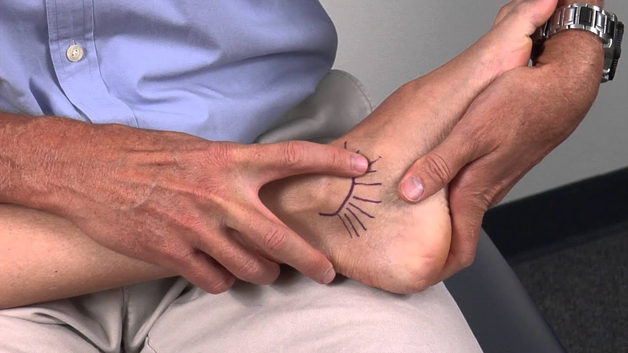 Ankle-Medial Ligaments