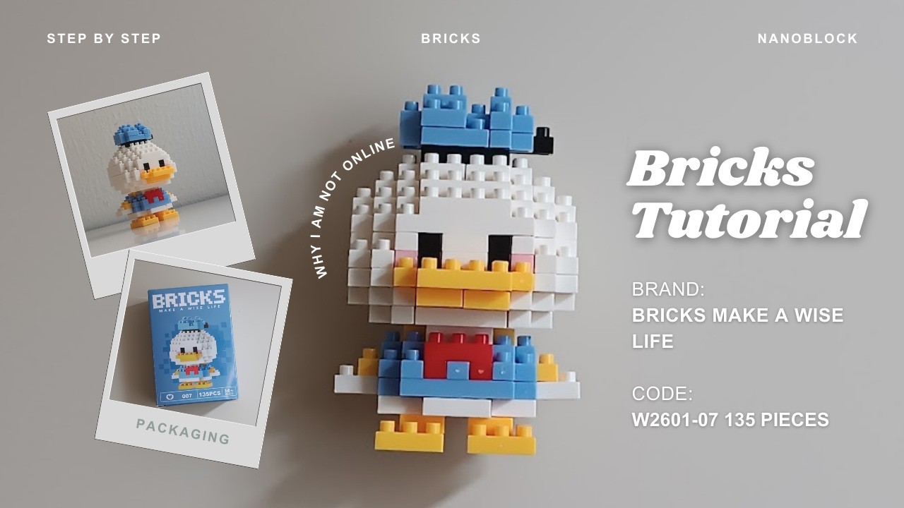 How to Build Donald Duck Disney Building Blocks | Bricks Make a Wise Life 007 | Tutorial
