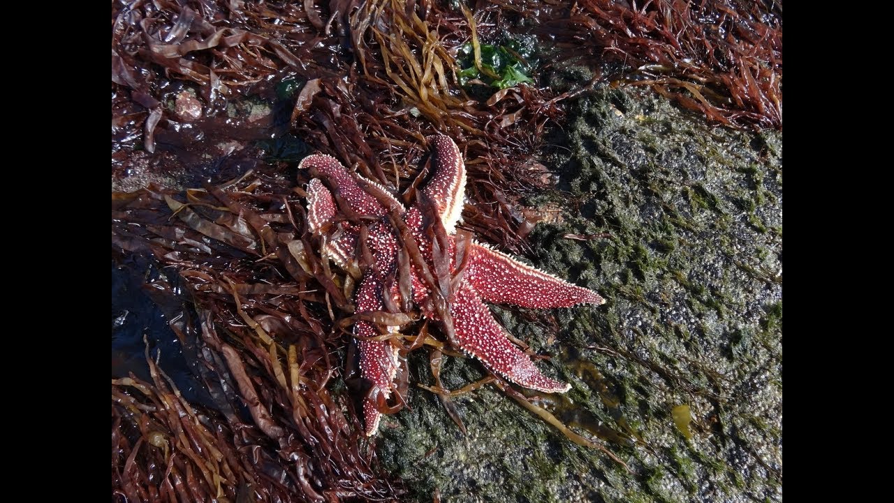 2 Охотское море