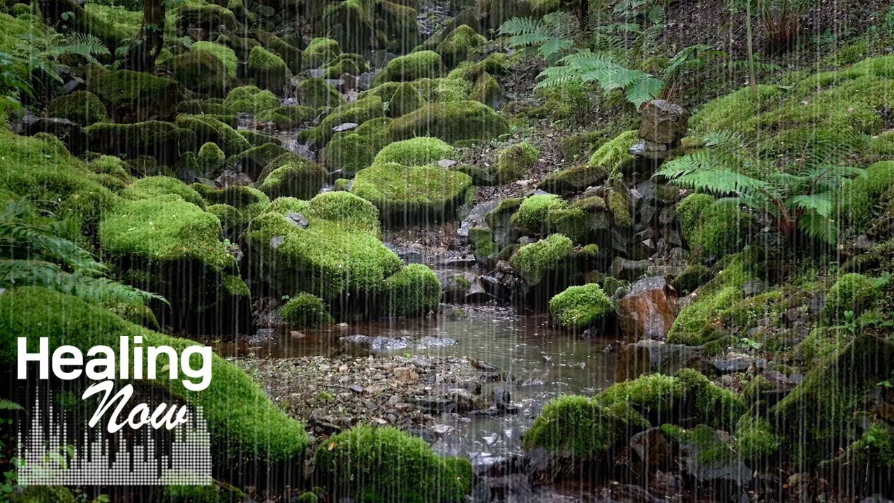 Звуки воды и дождя в глухом лесу, где, кажется, живут феи - Звуки природы для сна и отдыха