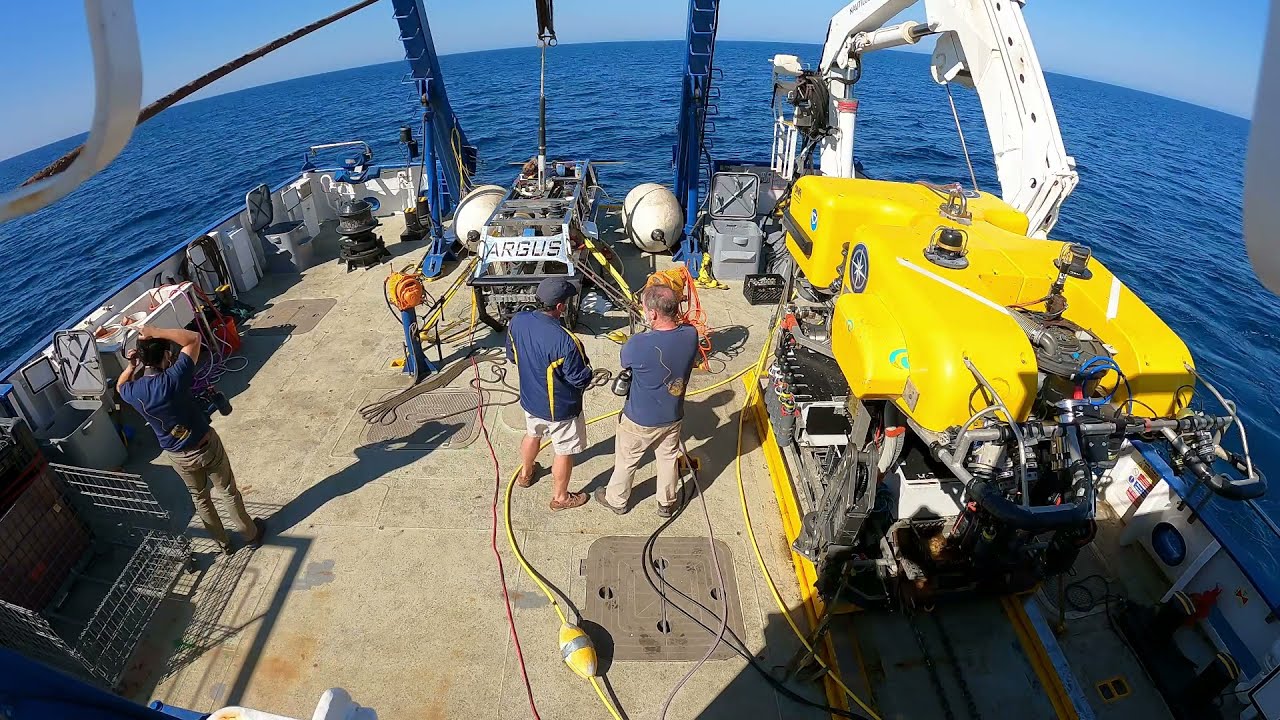 Beyond the Wow: Anatomy of a Dive