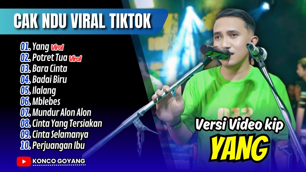 CAK NDU VIRAL TIKTOK - YANG - POTRET TUA - BARA CINTA | BADAI BIRU || FULL ALBUM DANGDUT VIRAL