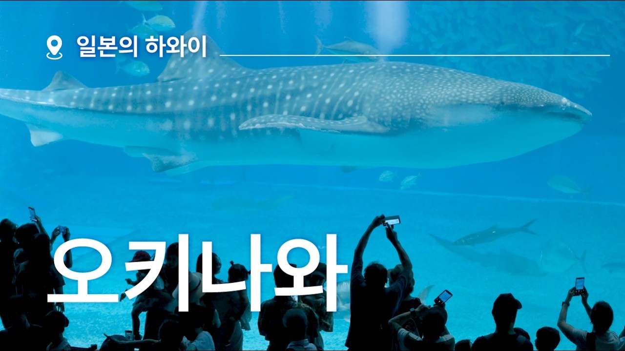 일본의 하와이, 오키나와