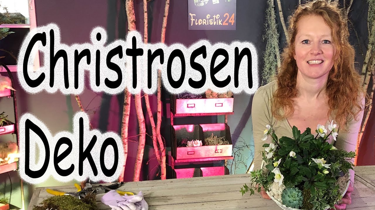 DIY Frühlingsdeko-Trend Pflanze Christrosen - Dekoration für Tisch & Veranda das Tutorial