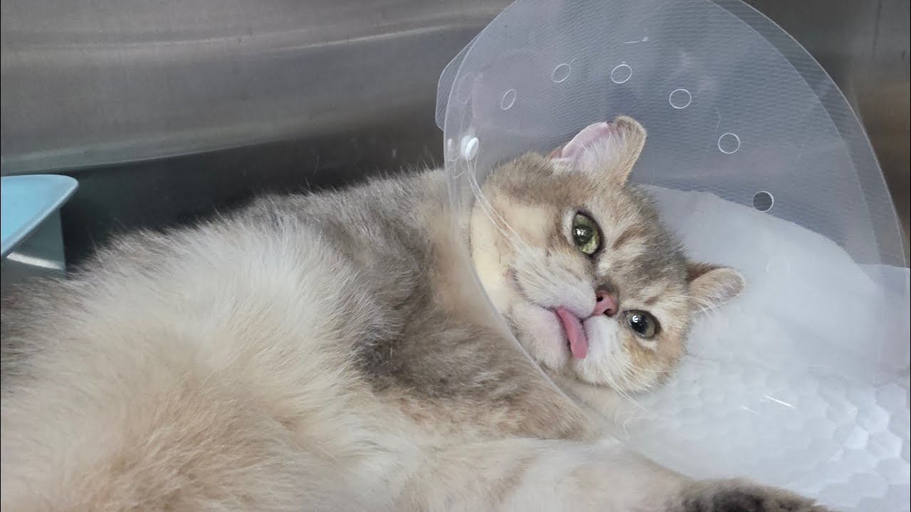 우와 하루만에 기름값 100원 !!6