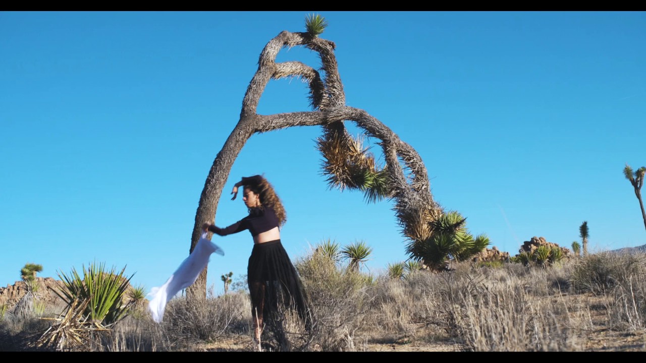 Amir Bayat & Imamyar Hasanov  - Silk Road (Official Music Video)