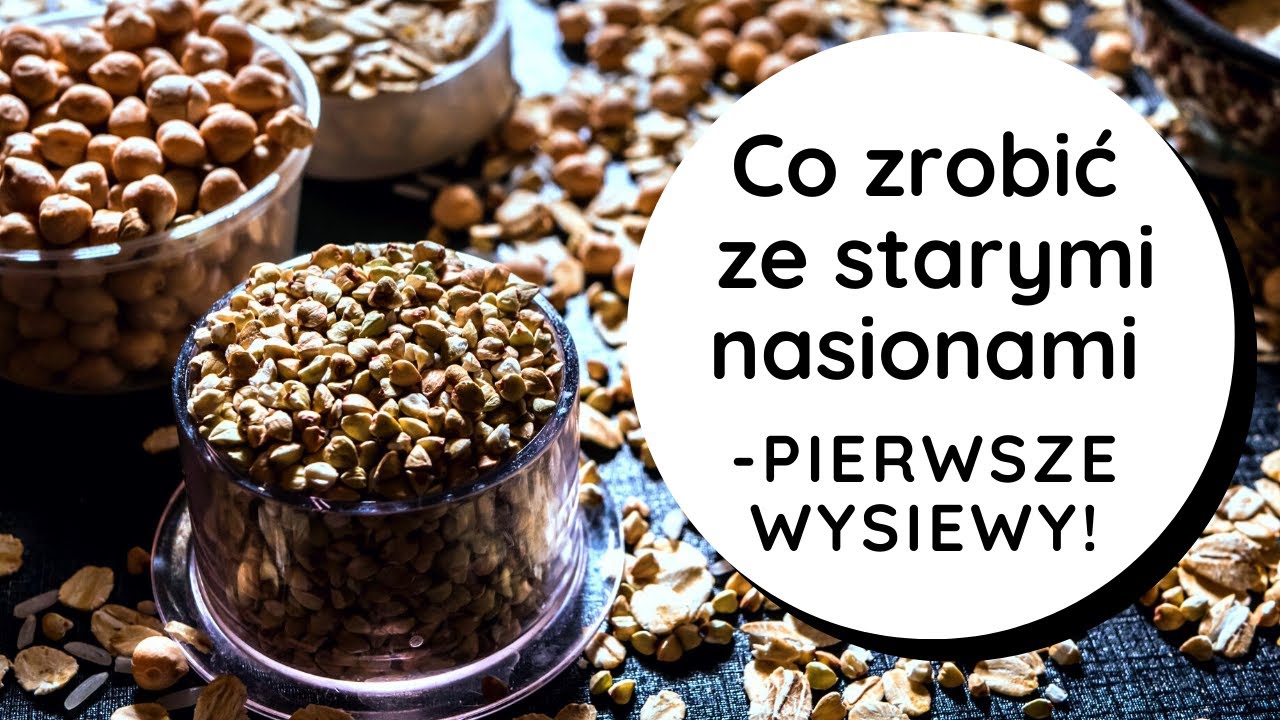 👉Co zrobić ze starymi nasionami❓ Co wysiewam w styczniu? 🌱🌱Ogród zimowy, microgreens, mikrolistki.