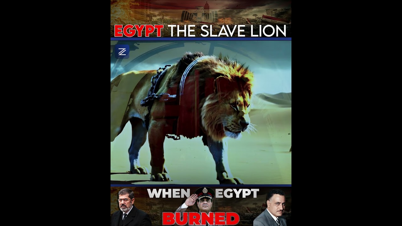 Egypt: The Slave Lion! | #zaviya #shorts