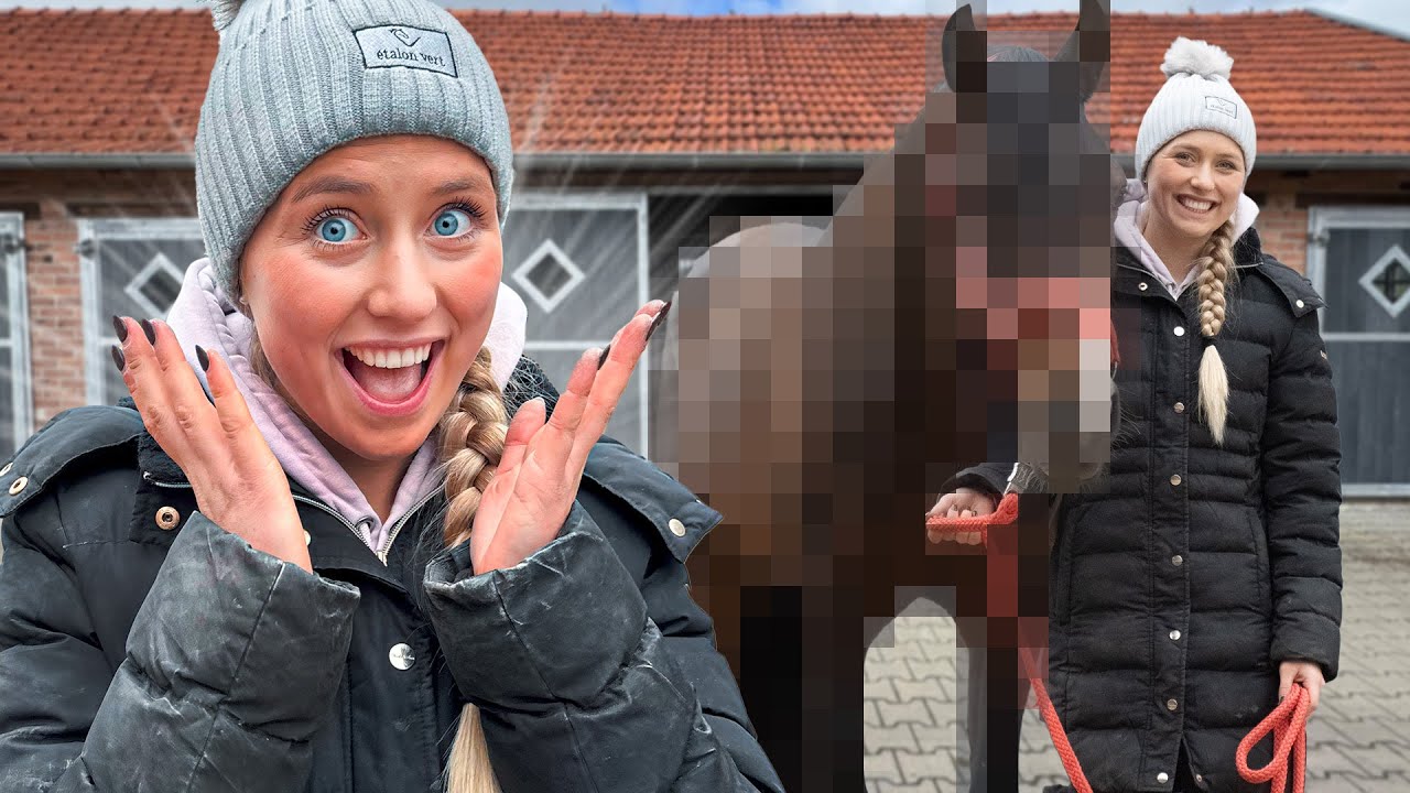 Ich habe ein NEUES PFERD!😍