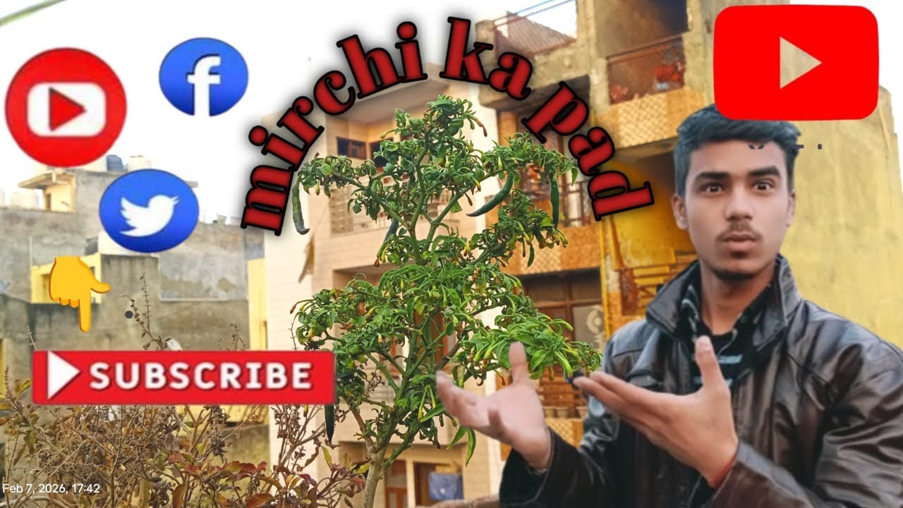 😱Delhi me mirchi Ka pad 😱 #vlog #firstvlog #viral #mirchi #vlog #vlogvideo #funnyvlogs #viral #vlog 