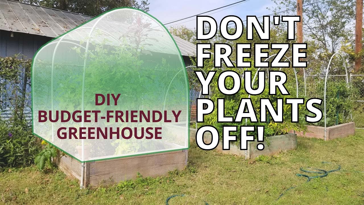 DIY GREENHOUSE - Cold Weather Garden Cover for CHEAP!!!