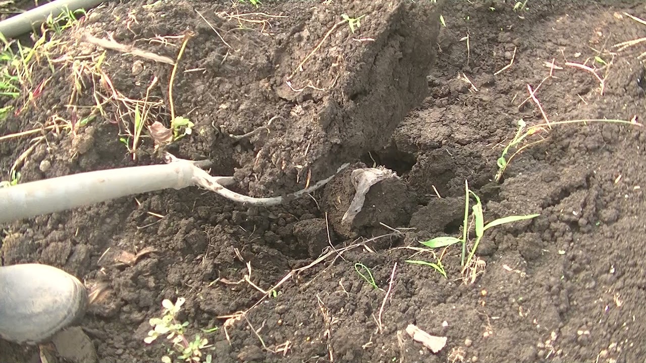 カチカチの畑を簡単に耕す方法を紹介します